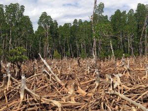 La tierra: conflicto socioambiental y políticas nacionales en la Amazonía